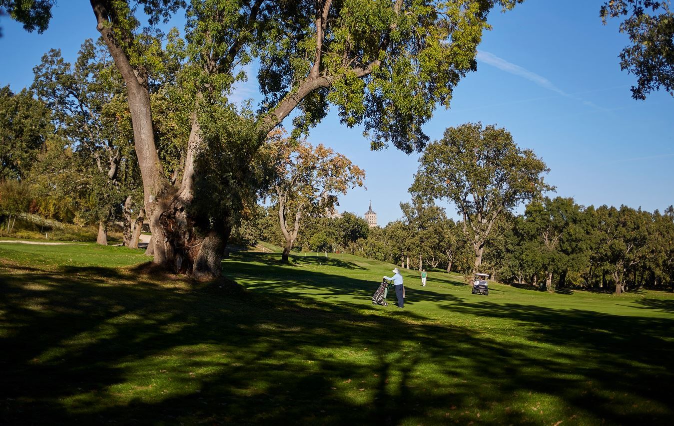 El golf, un deporte con gestores altamente cualificados