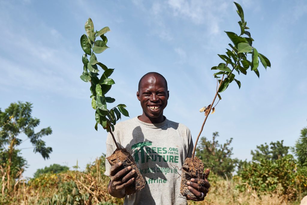 Foto de Trees For the Future