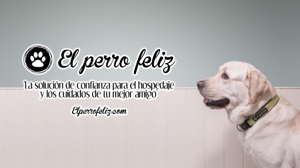 Foto de El Perro Feliz