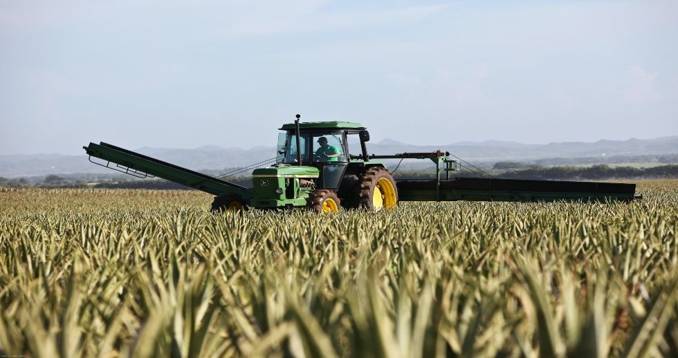 Foto de El endeudamiento de las empresas del sector primario supera