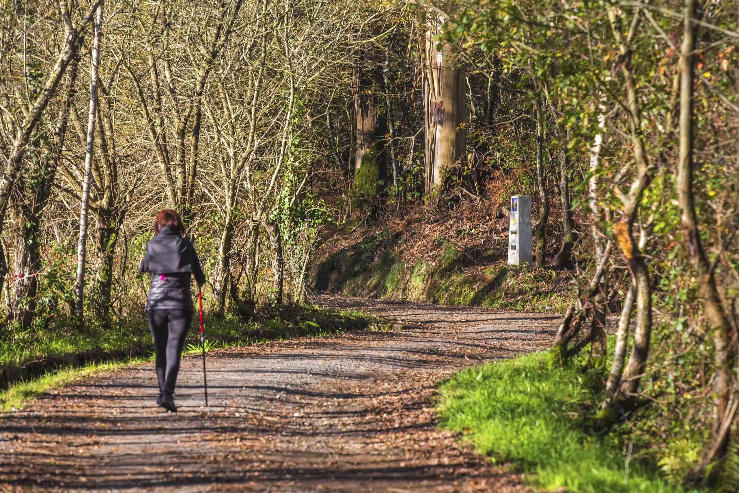 La Agencia Tubuencamino expande a 18 países la posibilidad de realizar el Camino de Santiago