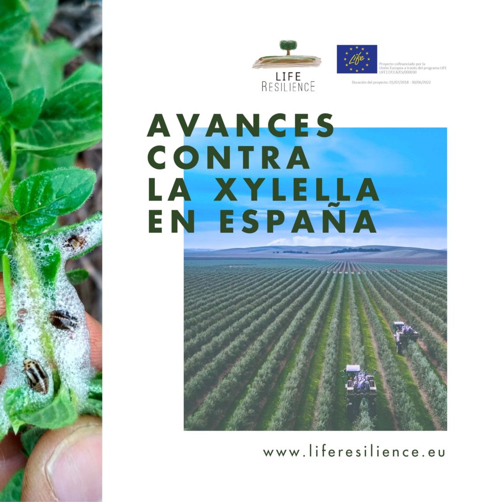 Foto de LIFE Resilience afronta su última etapa con grandes avances