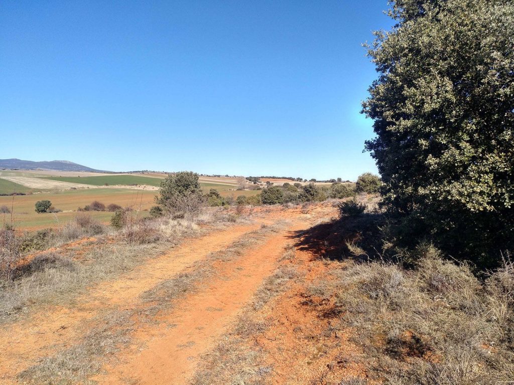 Foto de Las Cañadas Reales: Ganadería y biodiversidad