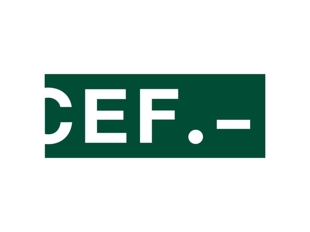 Foto de CEF - Intromusión de la clase política en el poder judicial