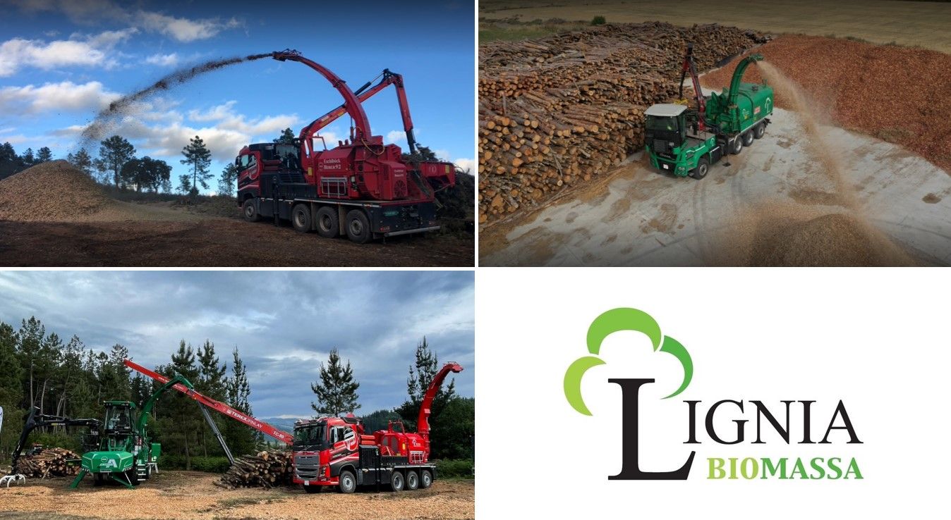 LIGNIA BIOMASSA inaugura nova seu mentre reafirma la seva col·laboració amb la consultoria d'empreses CEDEC