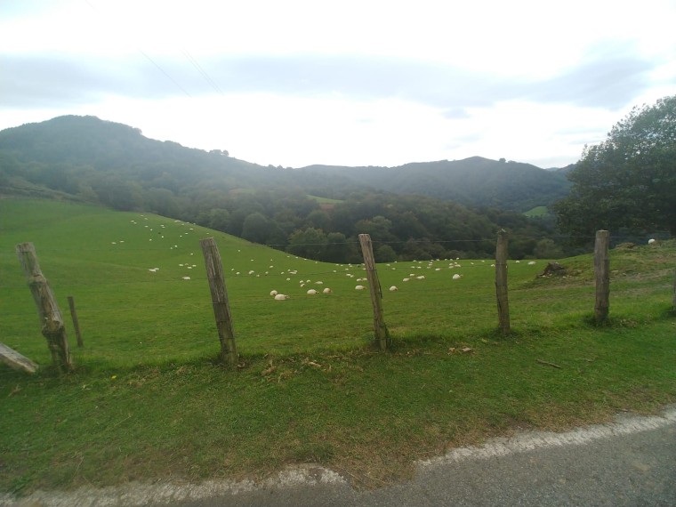 Foto de