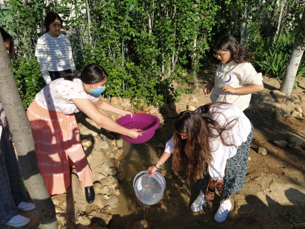 Foto de Biodiversidad en Colegio Base